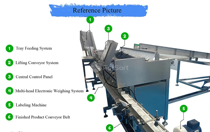 images/1742370388774equipo de envasado de frutas.jpg